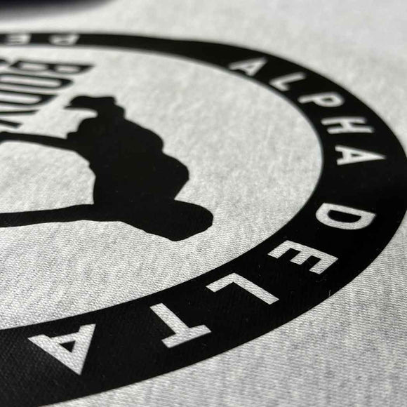 Close-up of a logo with 'Alpha Delta' text on a textured surface